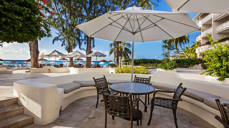 Bougainvillea Barbados
